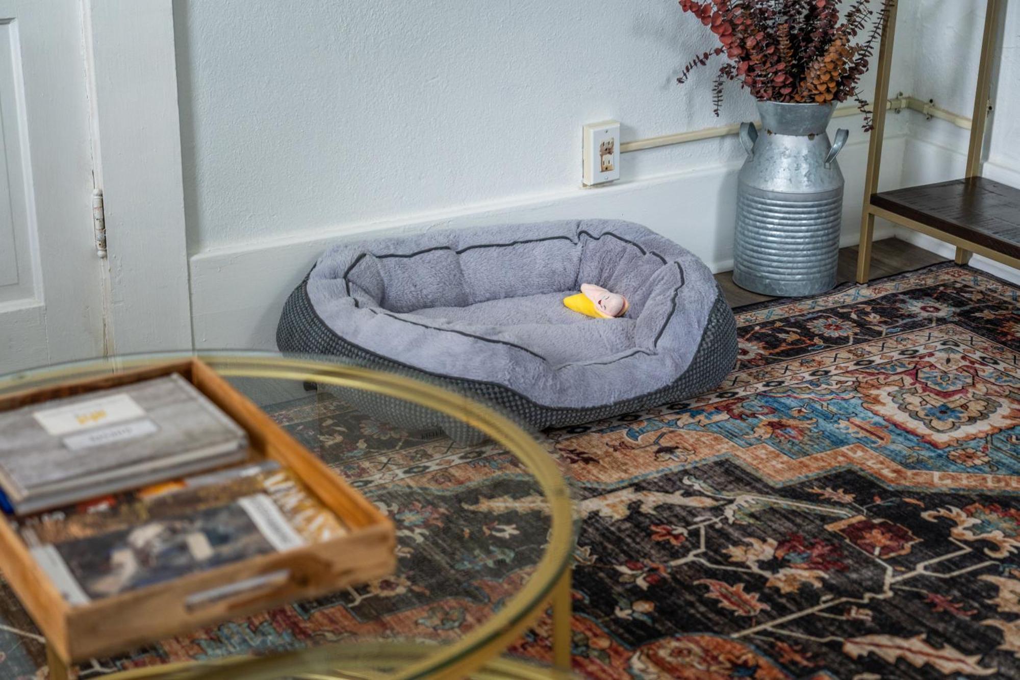 Cedar Blossom Bungalow Is A Cozy Getaway With A 5 Minute Walk To Downtown! 温泉城 外观 照片